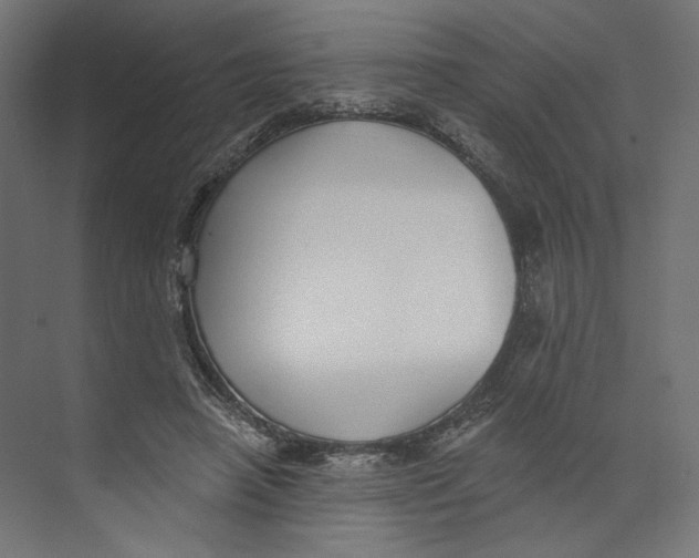 X0000073830450200609071519