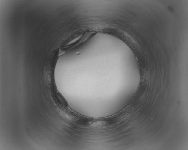 X0000073830452200609071519