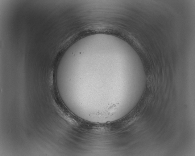 X0000073830454200609071519