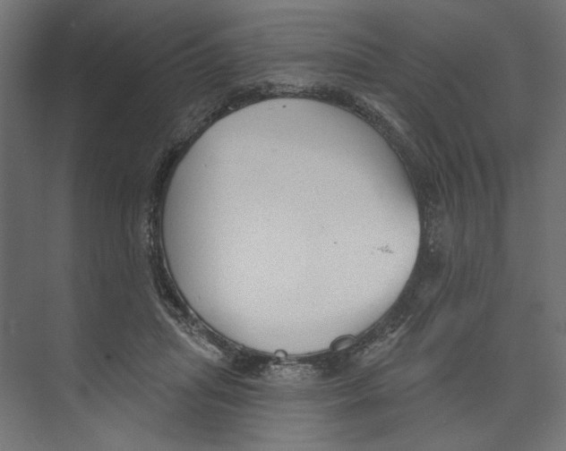 X0000073830455200609071519