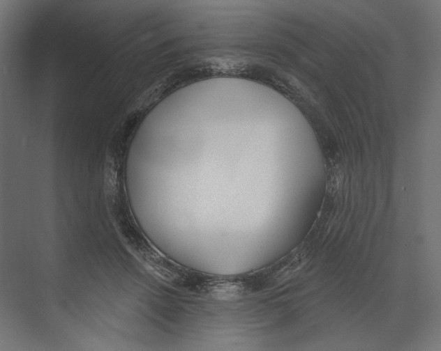 X0000073830456200609071519