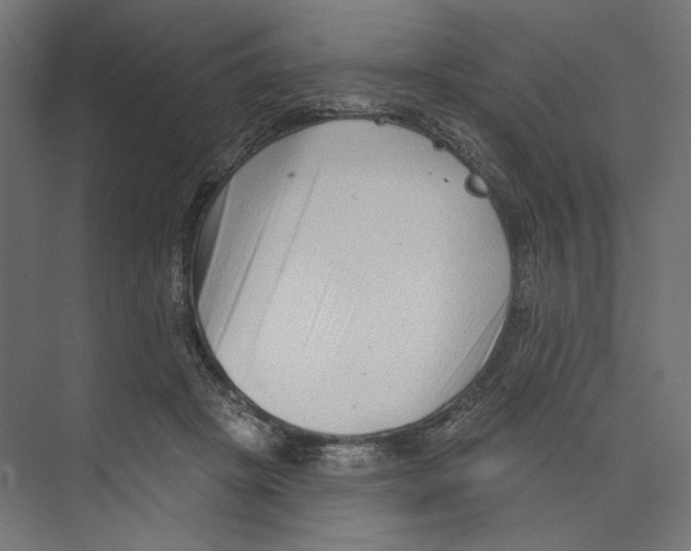 X0000073830457200609071519