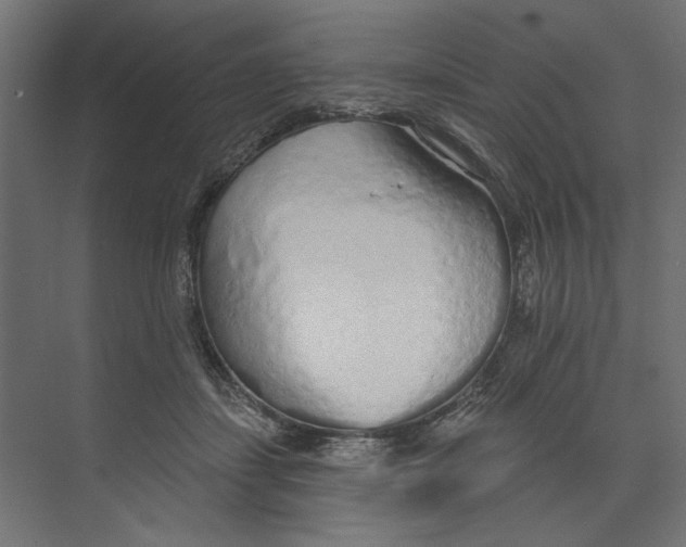 X0000073830459200609071519