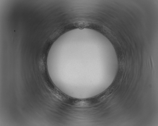 X0000073830460200609071519