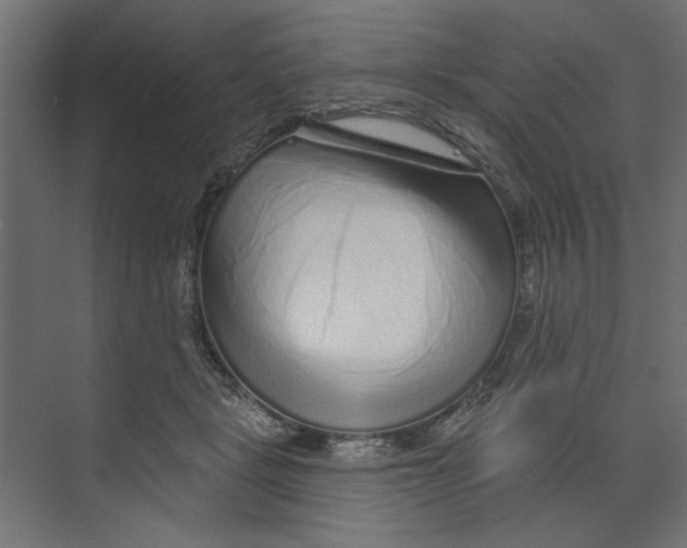 X0000073830461200609071519