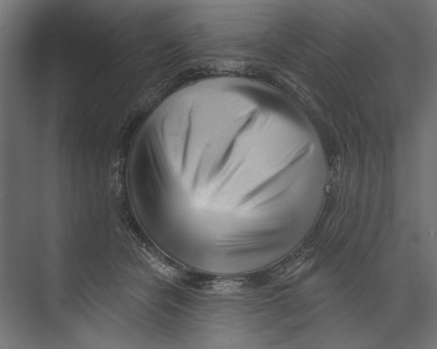 X0000073830462200609071519