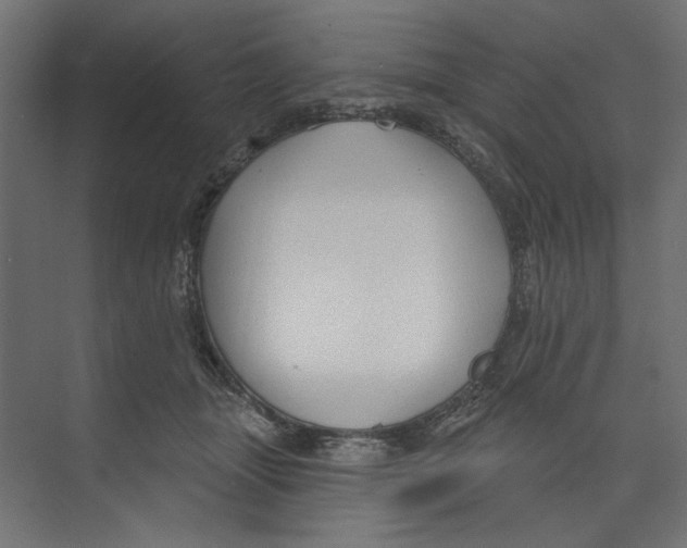 X0000073830463200609071519