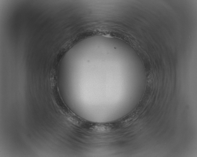 X0000073830464200609071519