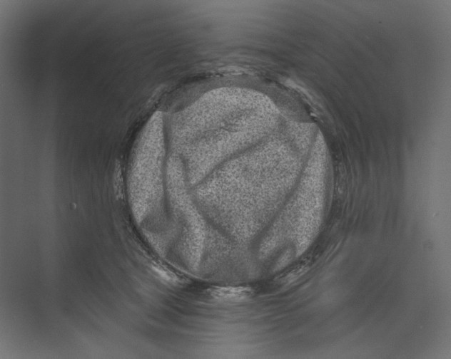 X0000073830465200609071519