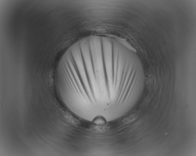 X0000073830466200609071519