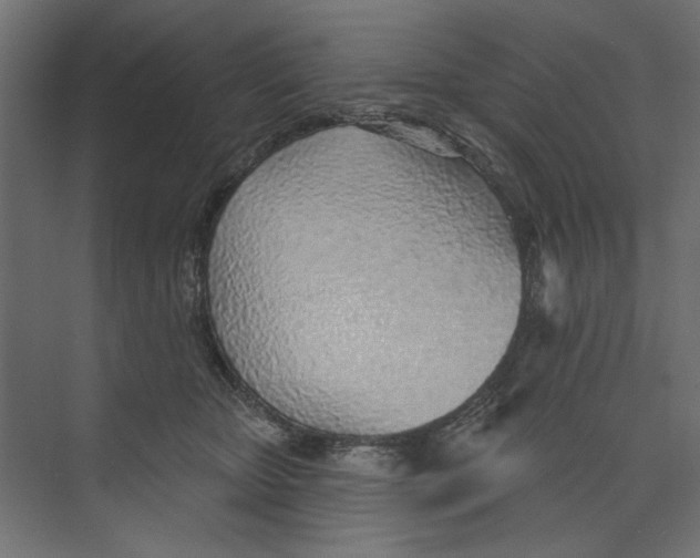 X0000073830467200609071519