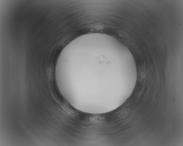 X0000073830468200609071519