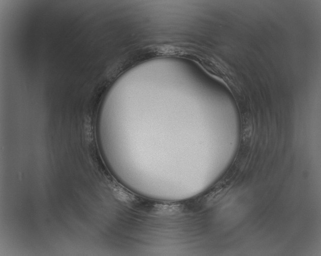 X0000073830469200609071519