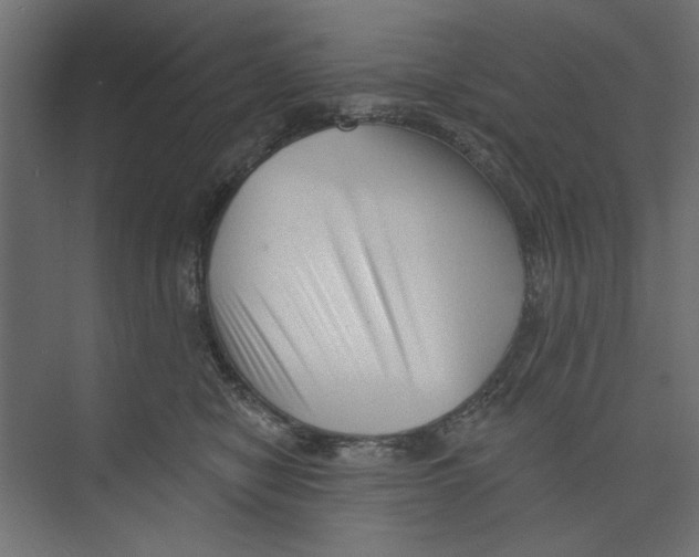 X0000073830470200609071519