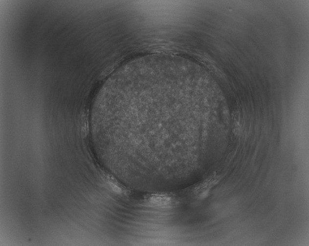 X0000073830471200609071519