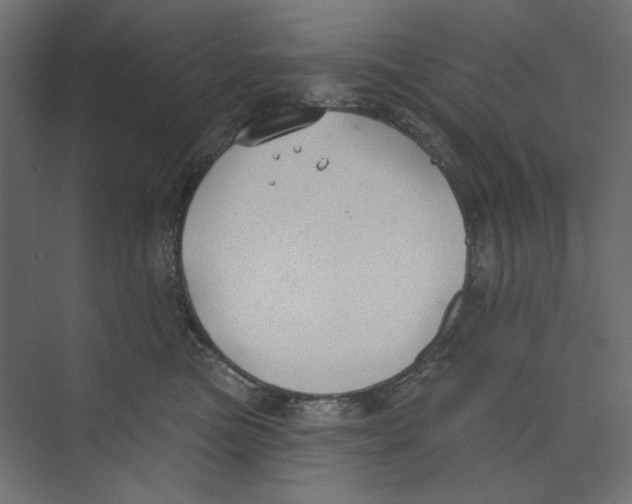 X0000073830473200609071519