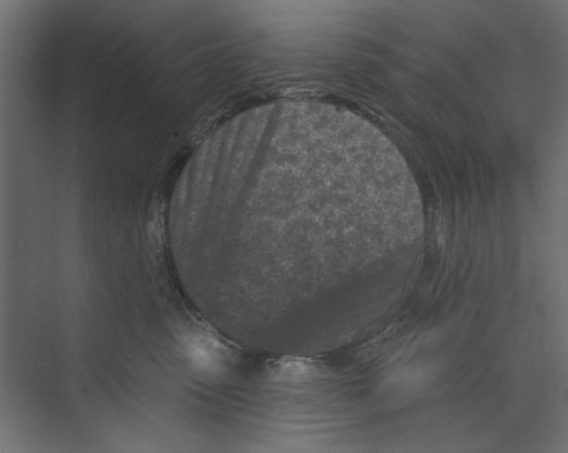 X0000073830475200609071519