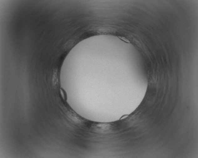 X0000073830478200609071520