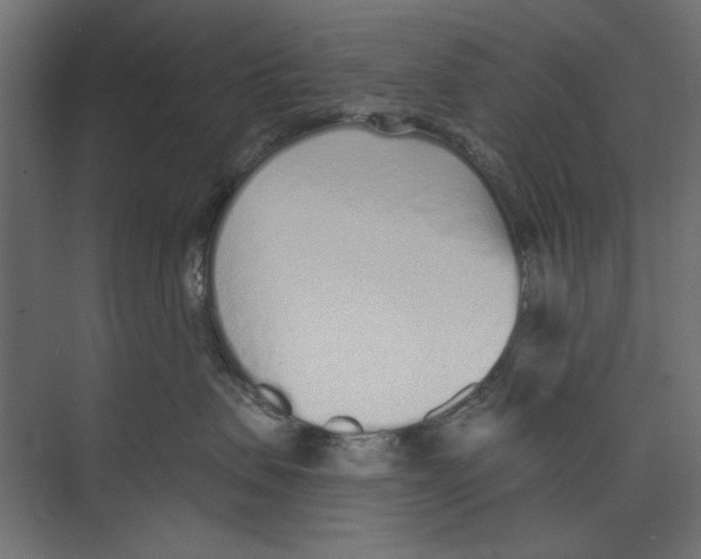 X0000073830479200609071520