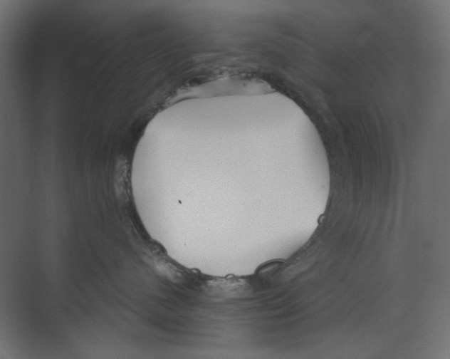 X0000073830480200609071520