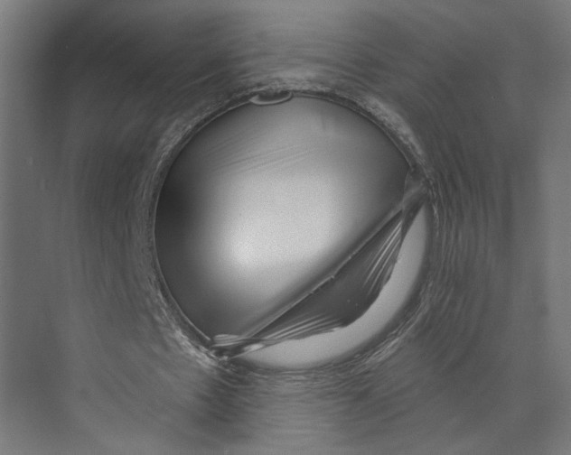 X0000073830481200609071519