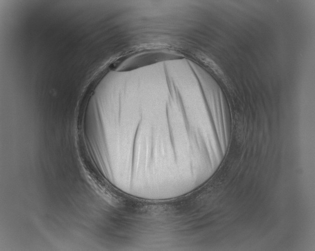 X0000073830482200609071519