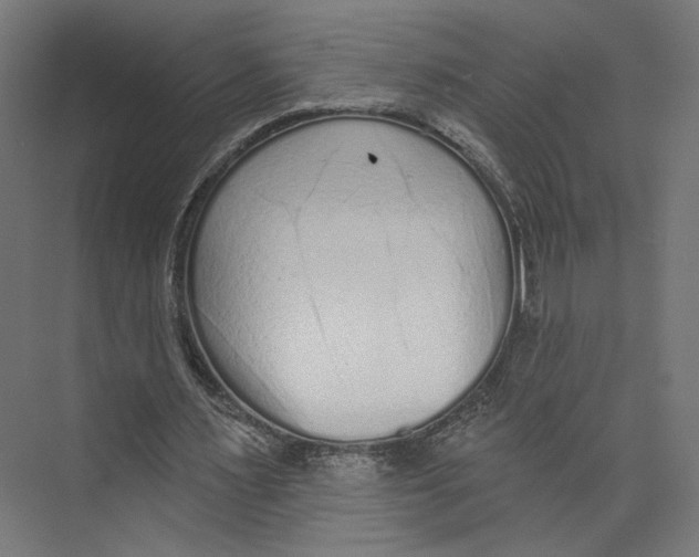 X0000073830483200609071519