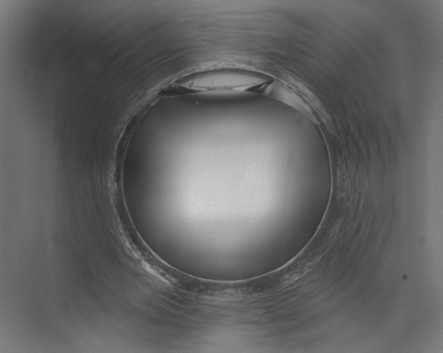 X0000073830485200609071519