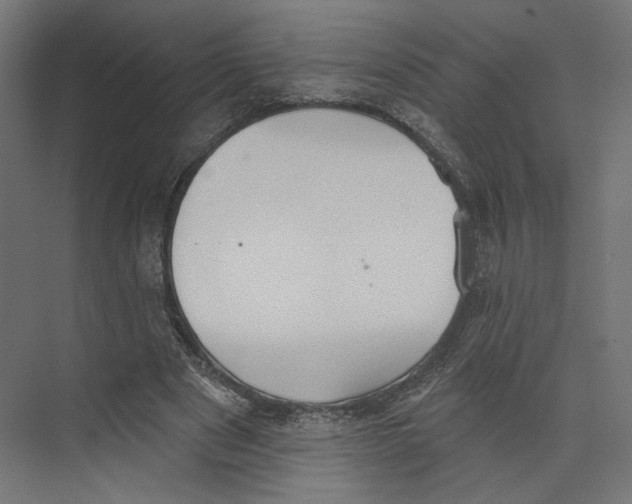 X0000073830489200609071519