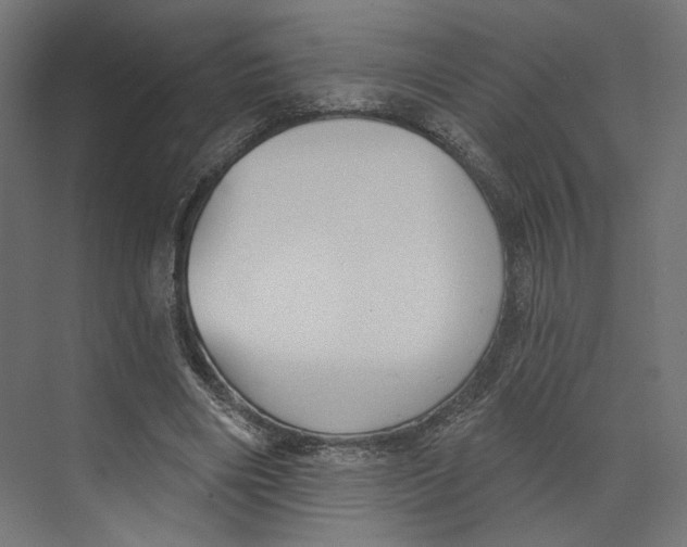 X0000073830490200609071519