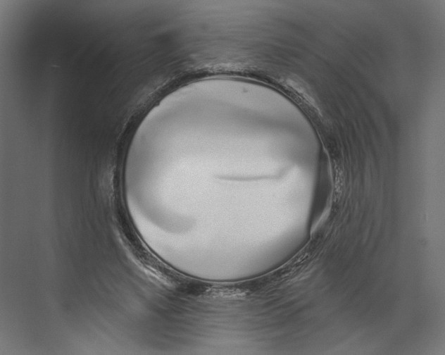 X0000073830491200609071519