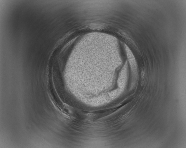 X0000073830492200609071519