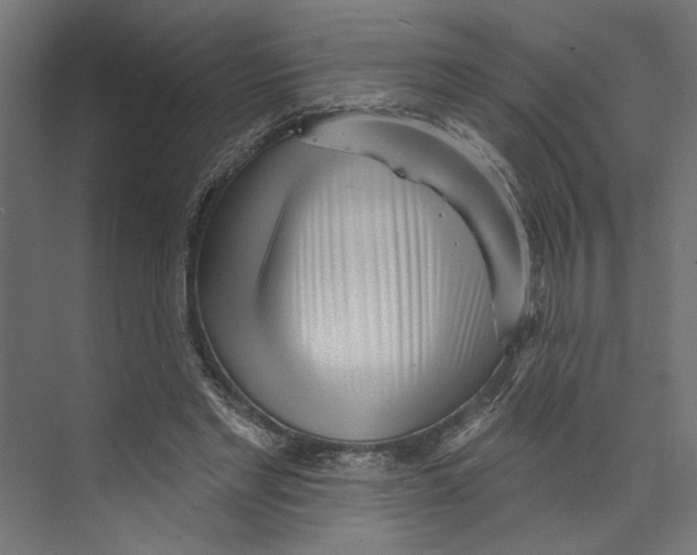 X0000073830493200609071519