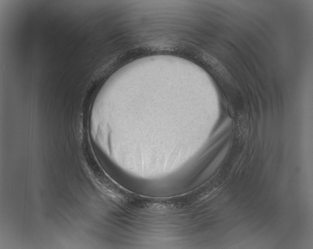 X0000073830494200609071519