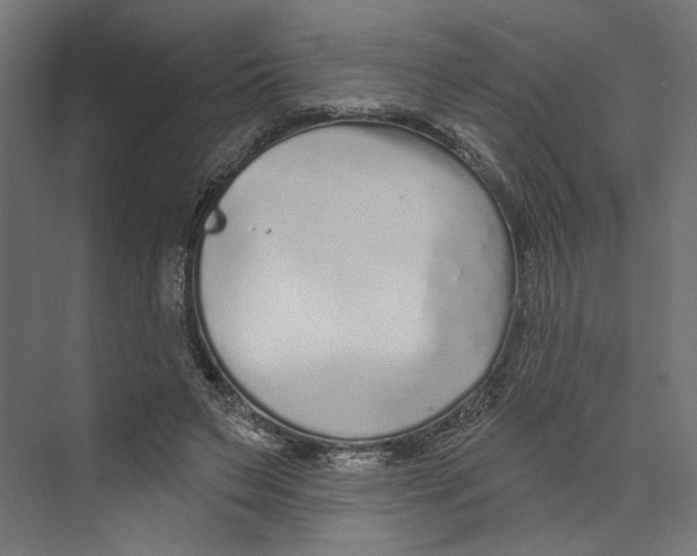 X0000073830495200609071518