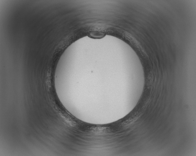 X0000073830497200609071518