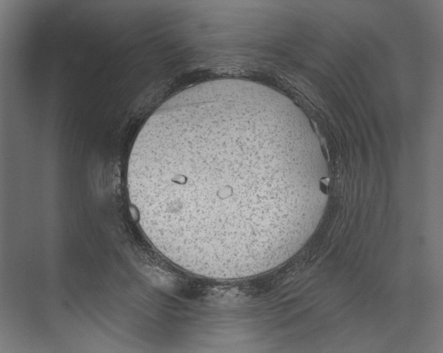 X0000073830502200609071518