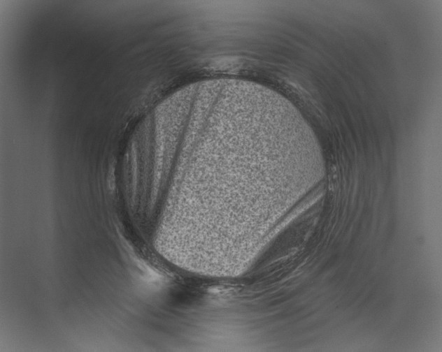 X0000073830504200609071518