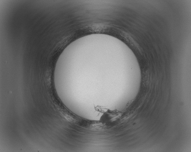 X0000073830505200609071518