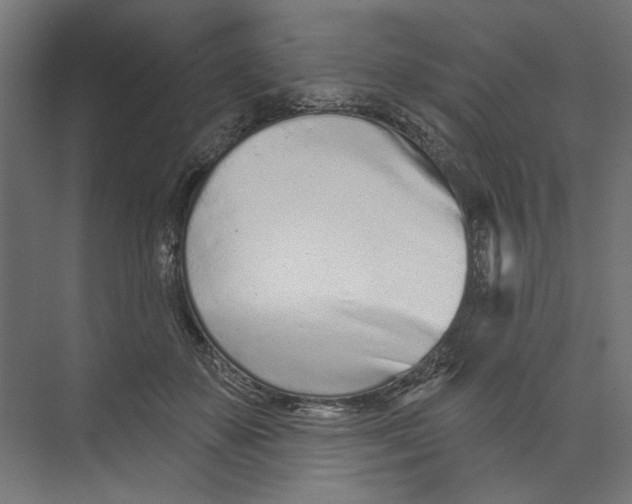 X0000073830507200609071518