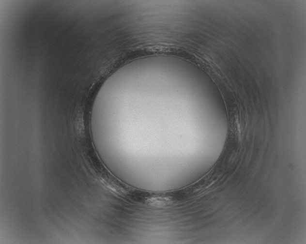 X0000073830508200609071518