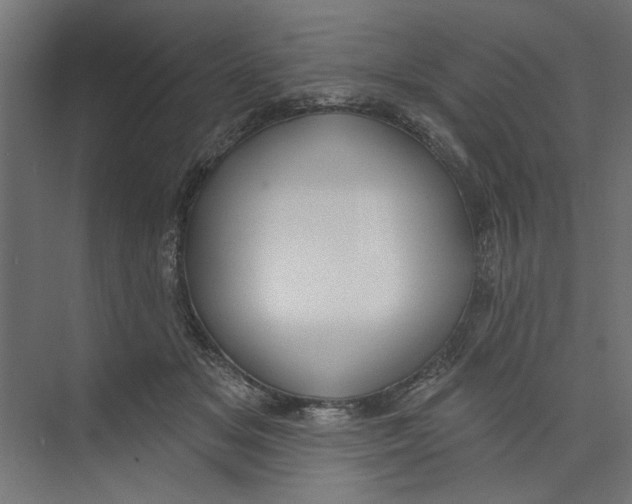 X0000073830509200609071518