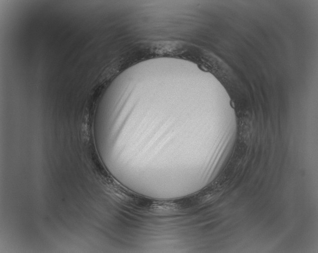 X0000073830510200609071518