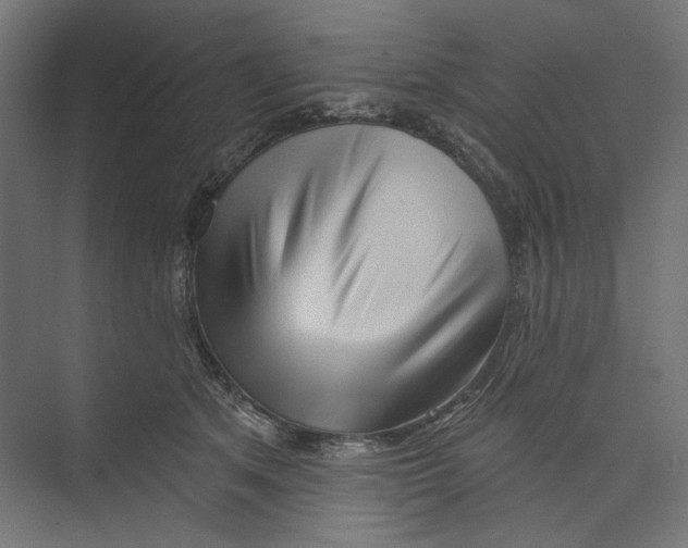 X0000073830513200609071518