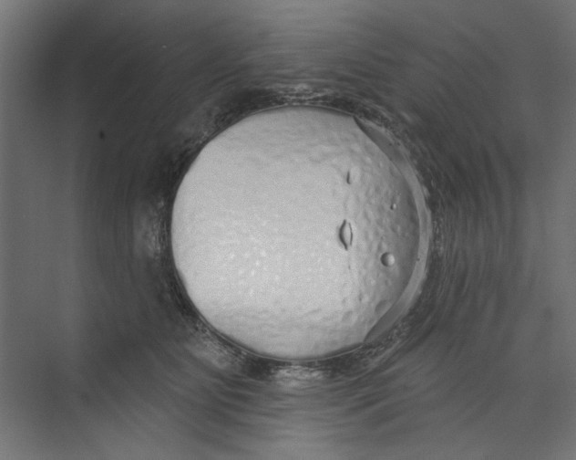 X0000073830515200609071518