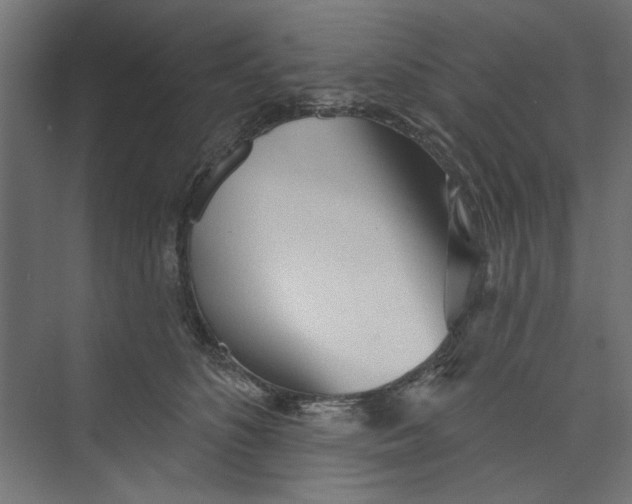 X0000073830516200609071518