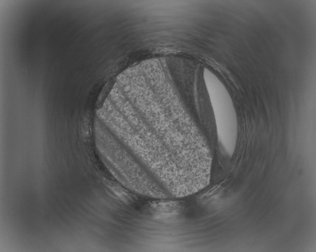 X0000073830517200609071518