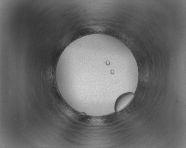 X0000073830518200609071518