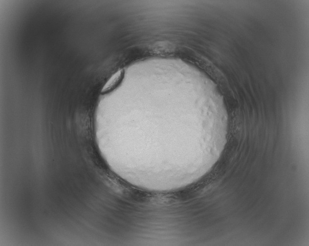 X0000073830523200609071518