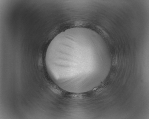 X0000073830524200609071518